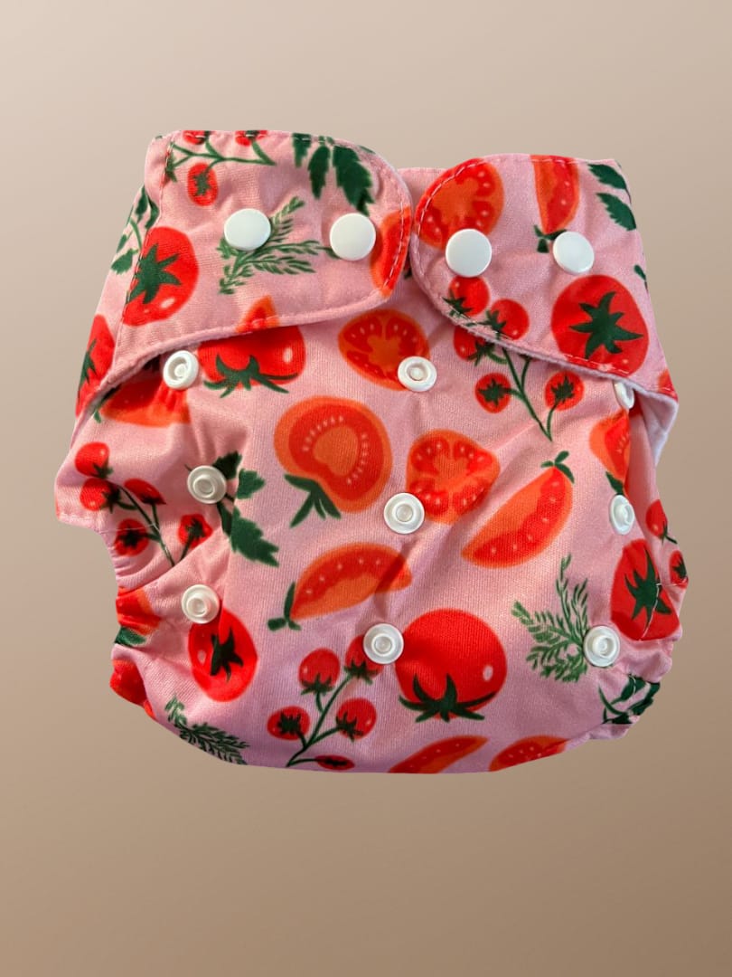 Washable Cloth Diaper with Insert (Free Size)